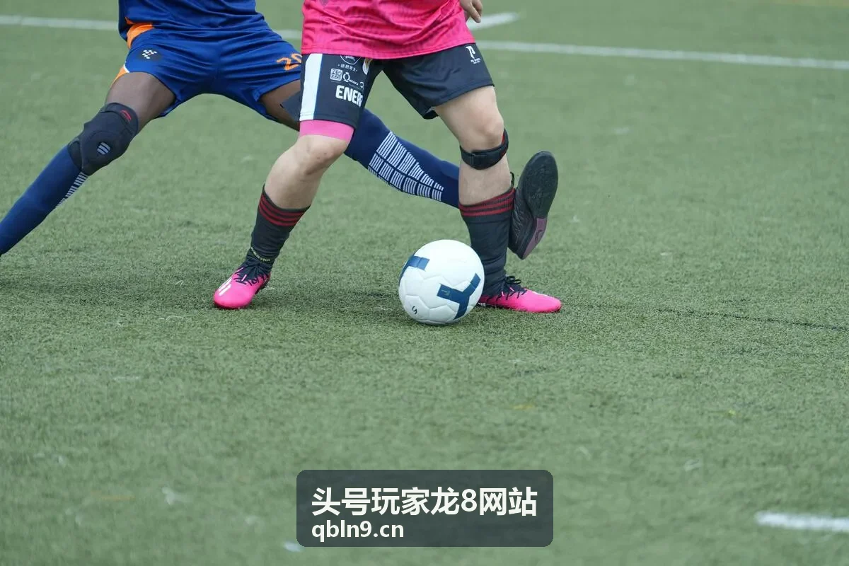 头号玩家龙8网站玩法节奏控制指南缩略图